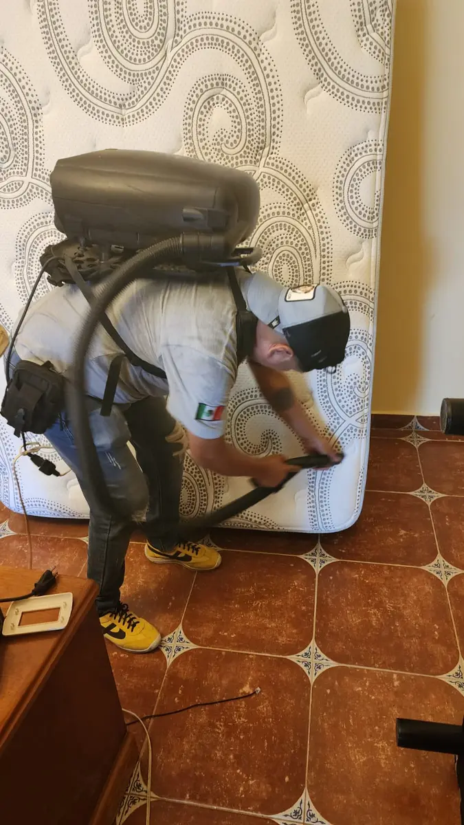Tratamiento profesional en un colchón