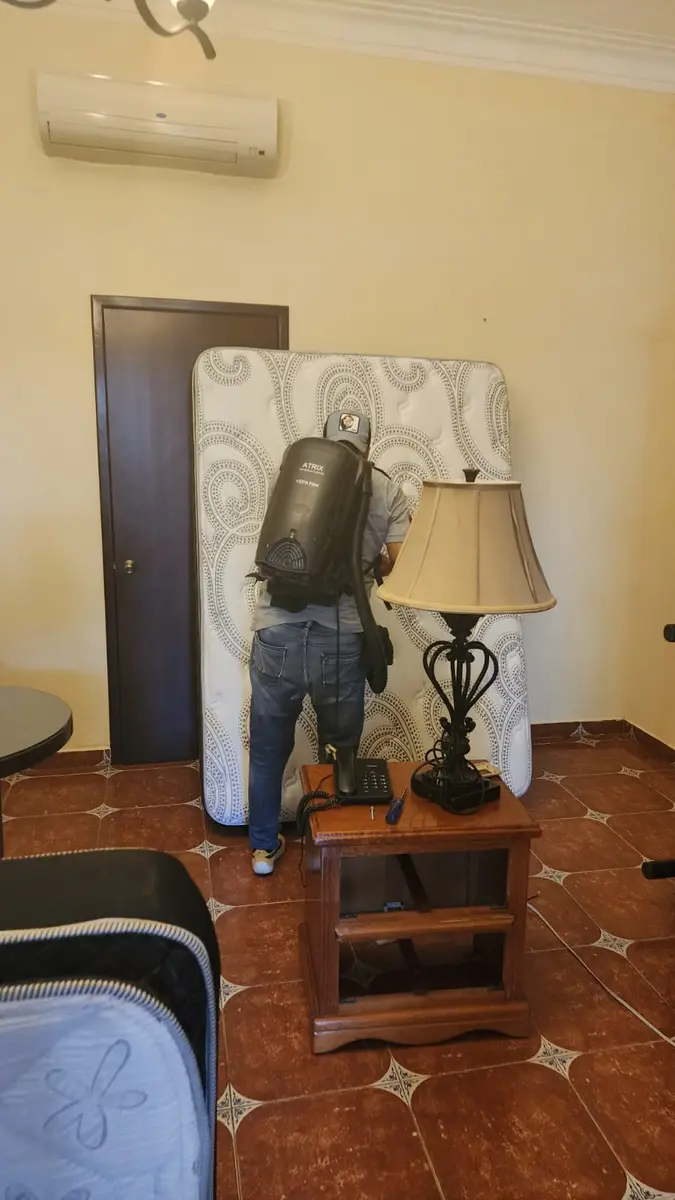 Técnico realizando un tratamiento en una habitación